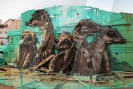 FEATURE - Tiere aus Müll - ein nachhaltiges Kunstprojekt