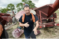 NEWS - Frankreich: Kandidat Benoit Hamon hilft bei der Weinlese in Medoc