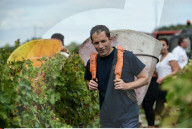 NEWS - Frankreich: Kandidat Benoit Hamon hilft bei der Weinlese in Medoc