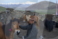 REPORTAGE - China: Tibetanische Hirten in Tagong