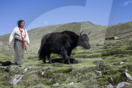 REPORTAGE - China: Tibetanische Hirten in Tagong
