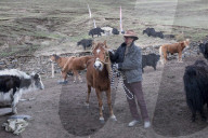 REPORTAGE - China: Tibetanische Hirten in Tagong