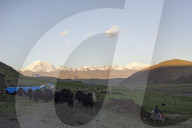 REPORTAGE - China: Tibetanische Hirten in Tagong
