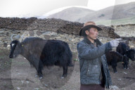 REPORTAGE - China: Tibetanische Hirten in Tagong