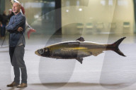 FEATURE - Fliegende Fische in der Tate Modern: Philippe Parreno stellt aus