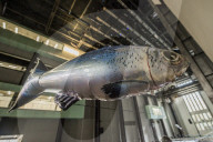 FEATURE - Fliegende Fische in der Tate Modern: Philippe Parreno stellt aus