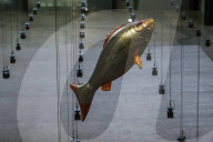 FEATURE - Fliegende Fische in der Tate Modern: Philippe Parreno stellt aus