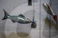 FEATURE - Fliegende Fische in der Tate Modern: Philippe Parreno stellt aus
