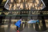 FEATURE - Fliegende Fische in der Tate Modern: Philippe Parreno stellt aus