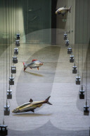FEATURE - Fliegende Fische in der Tate Modern: Philippe Parreno stellt aus