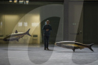 FEATURE - Fliegende Fische in der Tate Modern: Philippe Parreno stellt aus