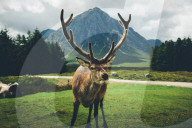 FEATURE - Grossartige Landschaftsaufnahmen aus den Schottischen Highlands