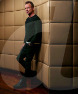 STUDIO - Sting