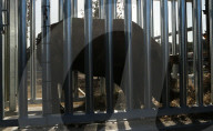 FEATURE - Ein Nashorn geht auf Reisen