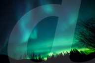 FEATURE - Nordlichter in Alaska