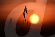 FEATURE - Weekly Choices - Bilder aus der ganzen Welt