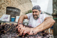 FEATURE - Spanien: Traubenstampfen in Sitges