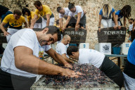 FEATURE - Spanien: Traubenstampfen in Sitges