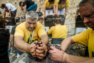 FEATURE - Spanien: Traubenstampfen in Sitges