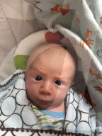 FEATURE - Baby-Faces
