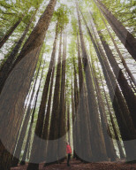 FEATURE - Naturwunder: Landschaften in Australien