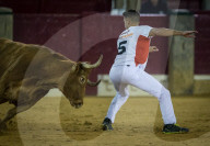 FEATURE - Akrobatisches Können ist hier von Vorteil: Stierkampf in Saragossa