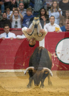 FEATURE - Stierkampf in Saragossa