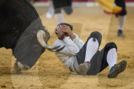 FEATURE - Stierkampf in Saragossa
