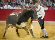 FEATURE - Stierkampf in Saragossa