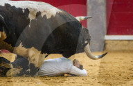 FEATURE - Stierkampf in Saragossa