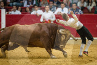 FEATURE - Stierkampf in Saragossa