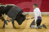 FEATURE - Stierkampf in Saragossa