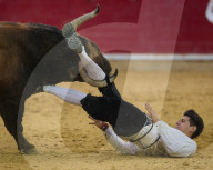 FEATURE - Stierkampf in Saragossa