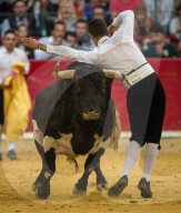 FEATURE - Stierkampf in Saragossa