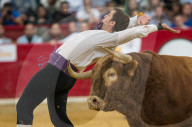 FEATURE - Stierkampf in Saragossa