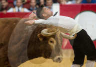 FEATURE - Stierkampf in Saragossa