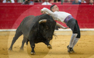 FEATURE - Stierkampf in Saragossa