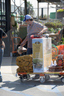 PEOPLE - Gwen Stefani schiebt Klein Apollo während Blake Shelton das Holz schleppt