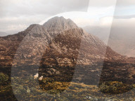 FEATURE - Berge schön eingefangen