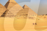 NEWS - Aegypten: Warten auf Touristen bei den Pyramiden von Gizeh