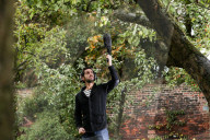 FEATURE - 'Apfel-Tag' in London