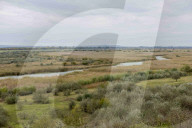 FEATURE - Ukraine: 'Operation BÃ¼ffel' im Donaudelta