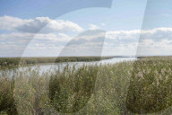 FEATURE - Ukraine: 'Operation BÃ¼ffel' im Donaudelta