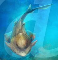 FEATURE - Wissenschaftler entdecken  prähistorischen Fisch
