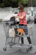 PEOPLE - Jessica Alba hat ihren Kürbis gefunden