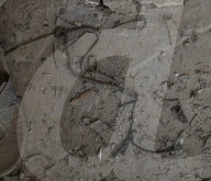 NEWS - Irak: Schlacht um Mossul