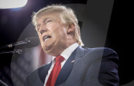 NEWS - USA: Donald Trump auf Wahlkampf in Tampa