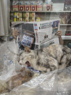FEATURE - Hong Kong: Jeder Laden hat seine eigene Katze