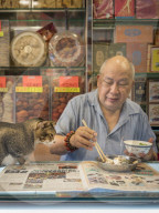 FEATURE - Hong Kong: Jeder Laden hat seine eigene Katze
