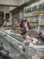 FEATURE - Hong Kong: Jeder Laden hat seine eigene Katze